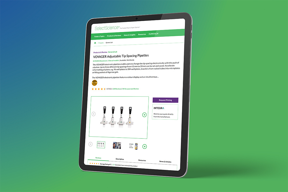 reviews portal mockup